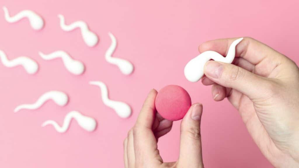 Mãos femininas segurando miniaturas de um espermatozoide e de um óvulo.