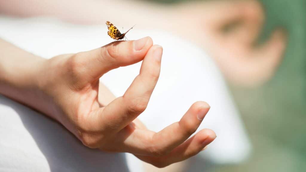 Mãos numa posição típica de meditação. No polegar direito de uma das mãos, uma borboleta pousada.