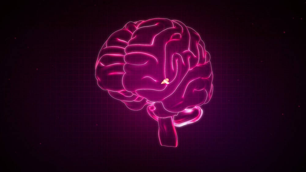Uma ilustração de um cérebro na qual se vê, em destaque, a glândula pineal.