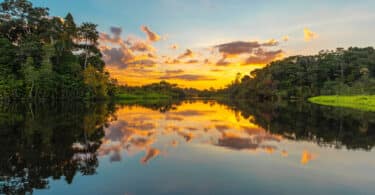 Amazônia: Por do sol com reflexo na água do rio e várias árvores ao redor