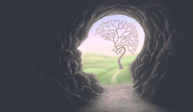 Caverna com saída colorida em formato de cabeça humana com uma árvore no meio indicando o cérebro
