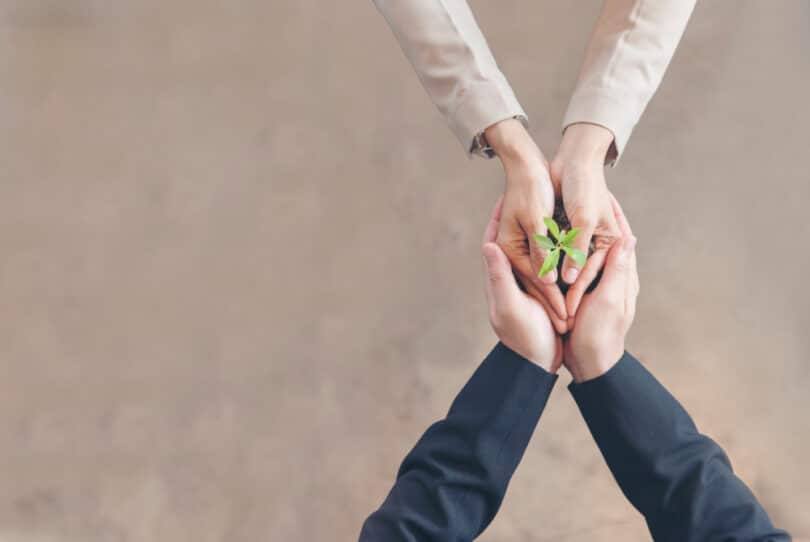 Duas pessoas dando as mãos uma à outra. Estas - mãos - fazem nascer uma muda de uma planta.