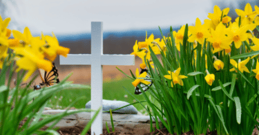 Túmulo com uma cruz na frente em um campo florido.