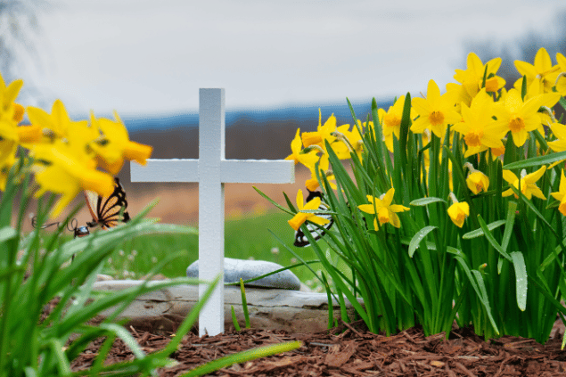 Túmulo com uma cruz na frente em um campo florido.