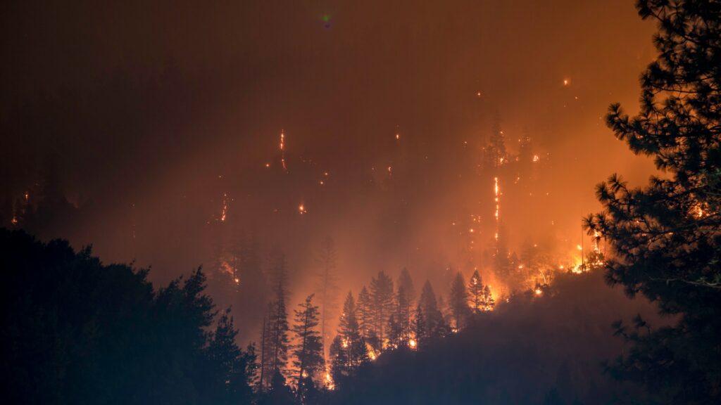 Incêndio na floresta.