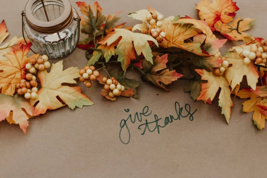 Foto de plantas de outono e a frase give thanks escrito.