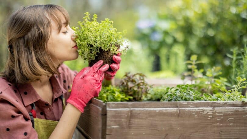 Imagem de uma mulher cheirando as plantas de olhos fechados