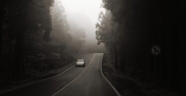 Imagem em preto e branco de um carro em uma estrada com árvores em volta.