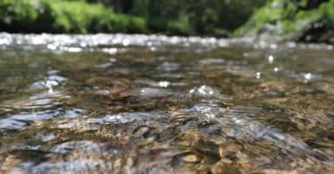 Imagem de um rio de água limpa, visto bem de perto