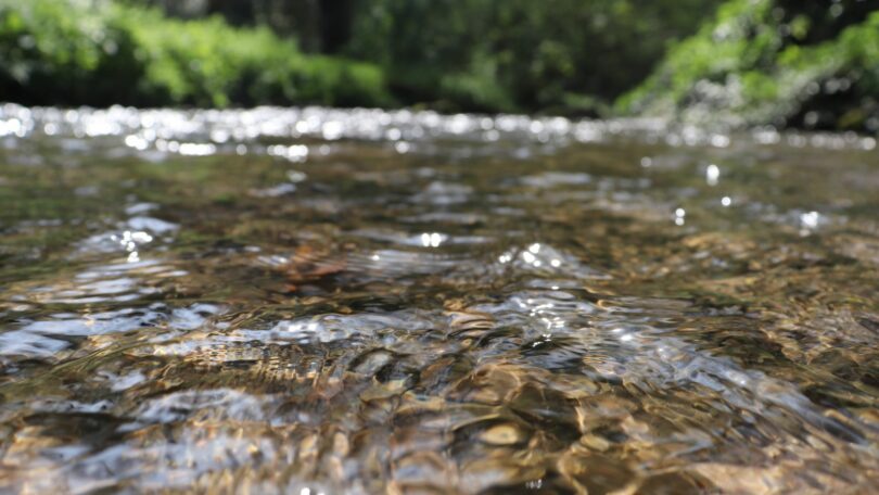 Imagem de um rio de água limpa, visto bem de perto