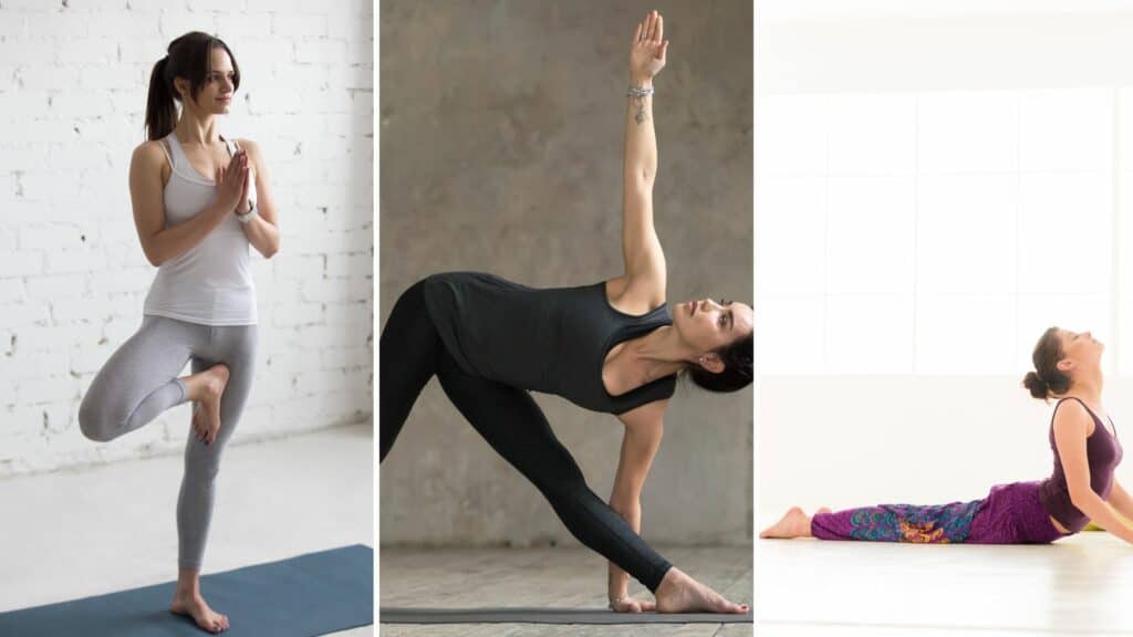 Gride das imagem das poses de Yoga: Vriksasana, Trikonasana e Bujangasana 