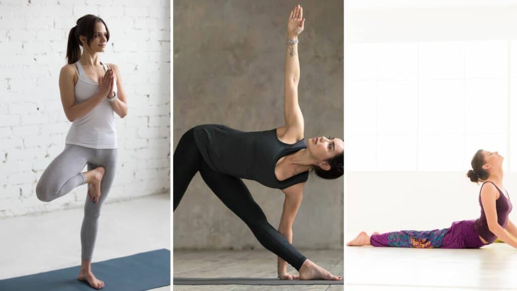 Gride das imagem das poses de Yoga: Vriksasana, Trikonasana e Bujangasana