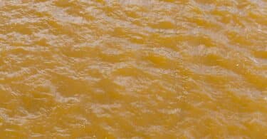 Imagem de uma água de rio suja