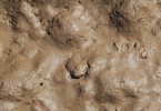 Chão com lama marrom