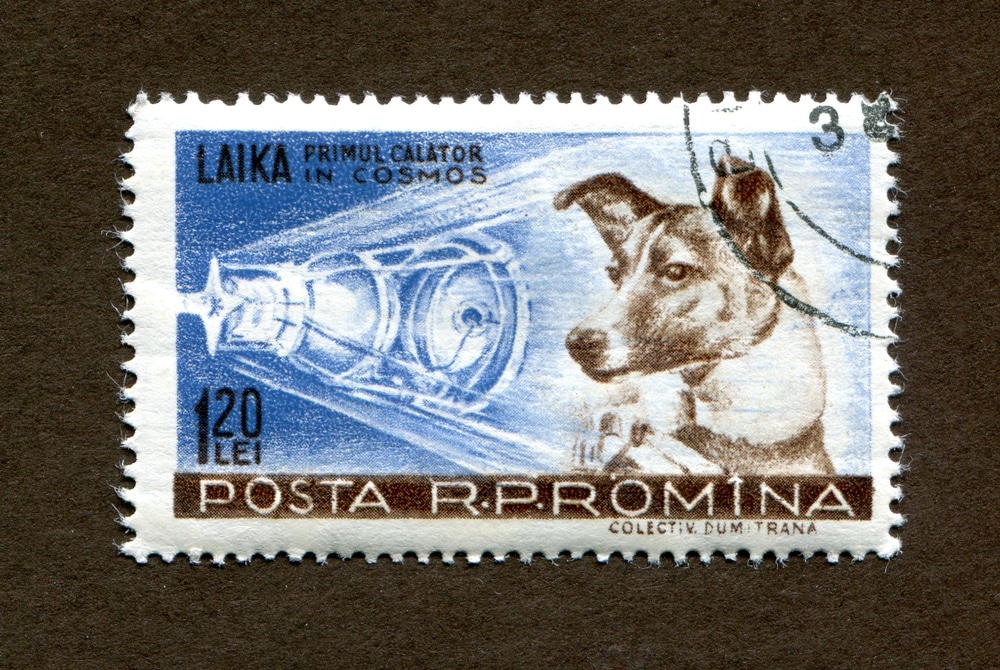 Ilustração de uma cadela chamada Laika, que foi o primeiro ser terrestre a ir ao espaço.