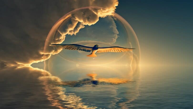 Imagem ilustrativa de um pássaro voando sobre as águas e o céu azul com nuvens amareladas