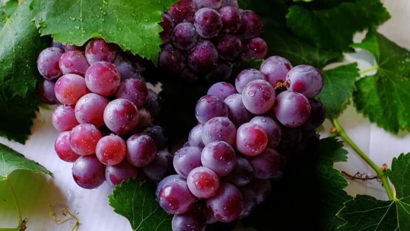 Imagem de um cacho de uvas rosadas