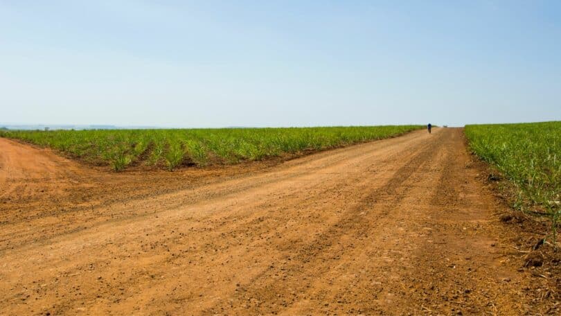 Imagem de uma estrada de terra