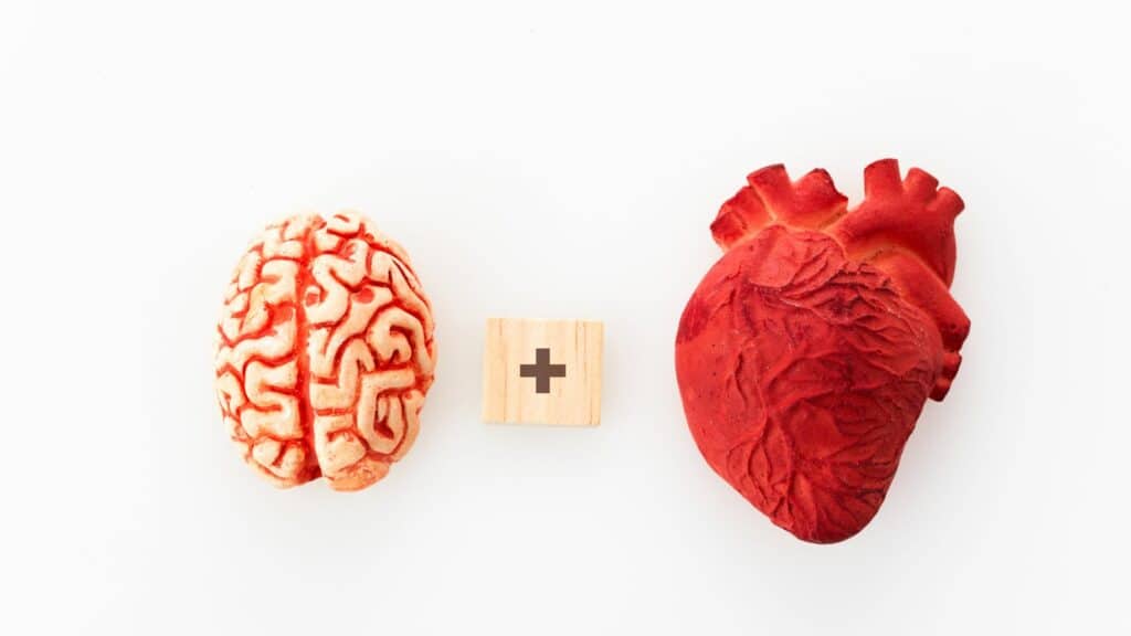 Imagem de um cérebro o sinal de + e um coração ilustrados