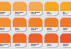 Tons diferentes de laranja em uma paleta