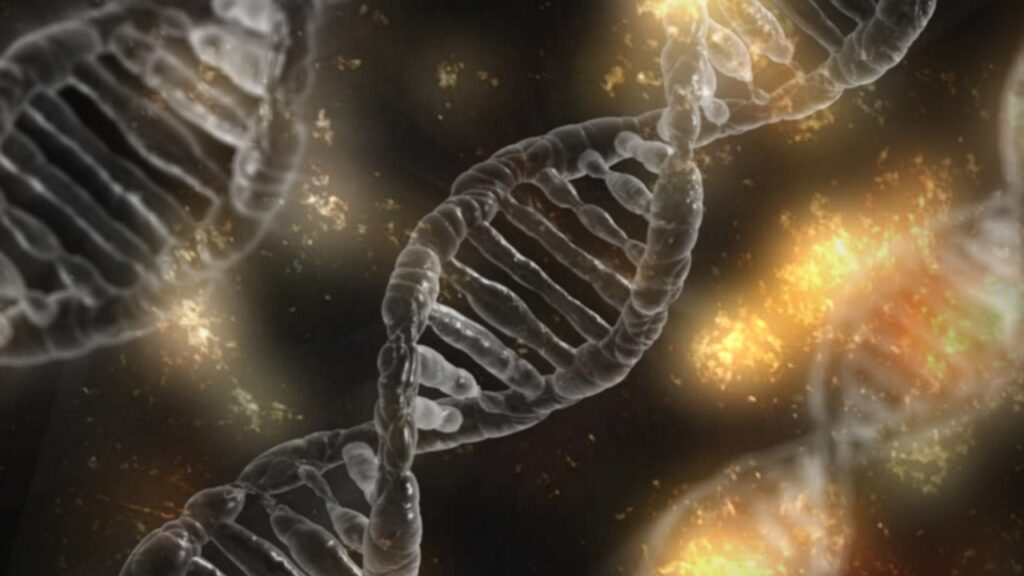 Pedaço do dna, mostrando os cromossomos