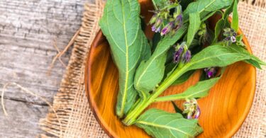 Folhas da planta confrei dentro de um prato sobre uma mesa de madeira