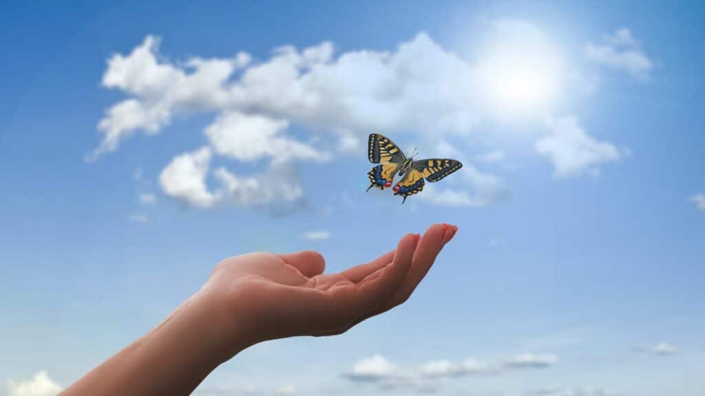 Imagem de uma pessoa soltando uma borboleta e atrás um céu azul