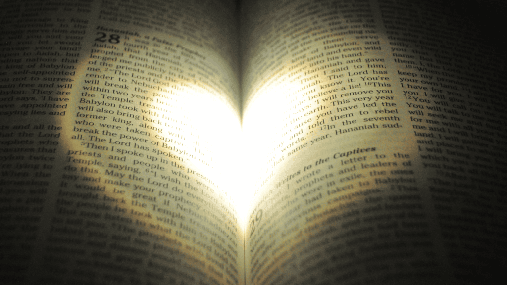 Luzes formando coração em páginas da bíblia