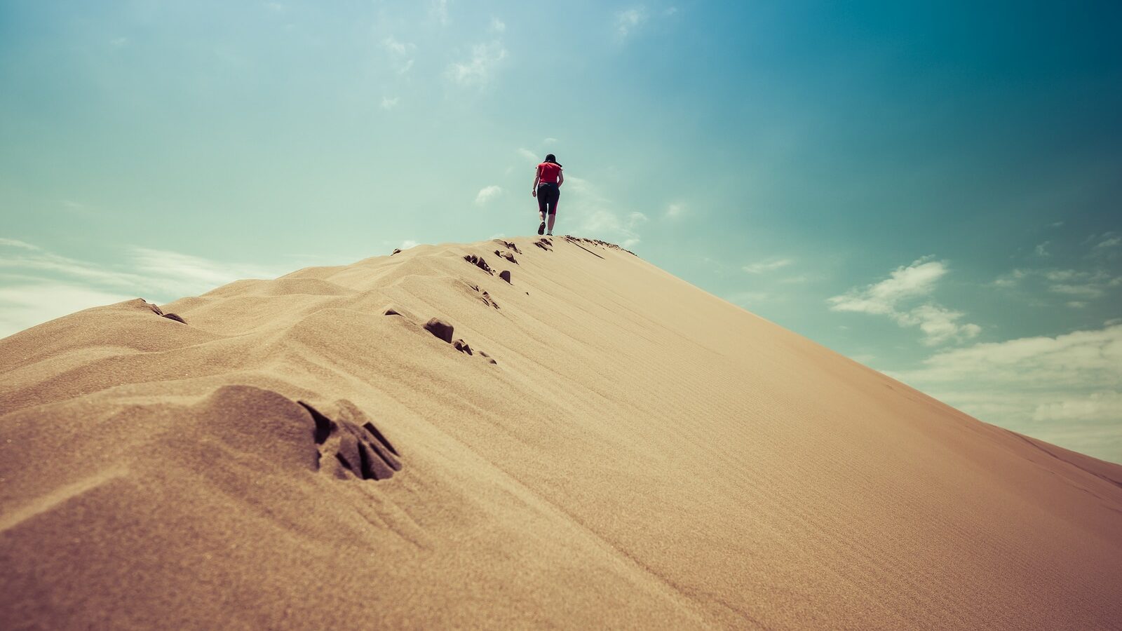 desert dune, big dune in the desert, flowers in desert, kazakhstan, asia