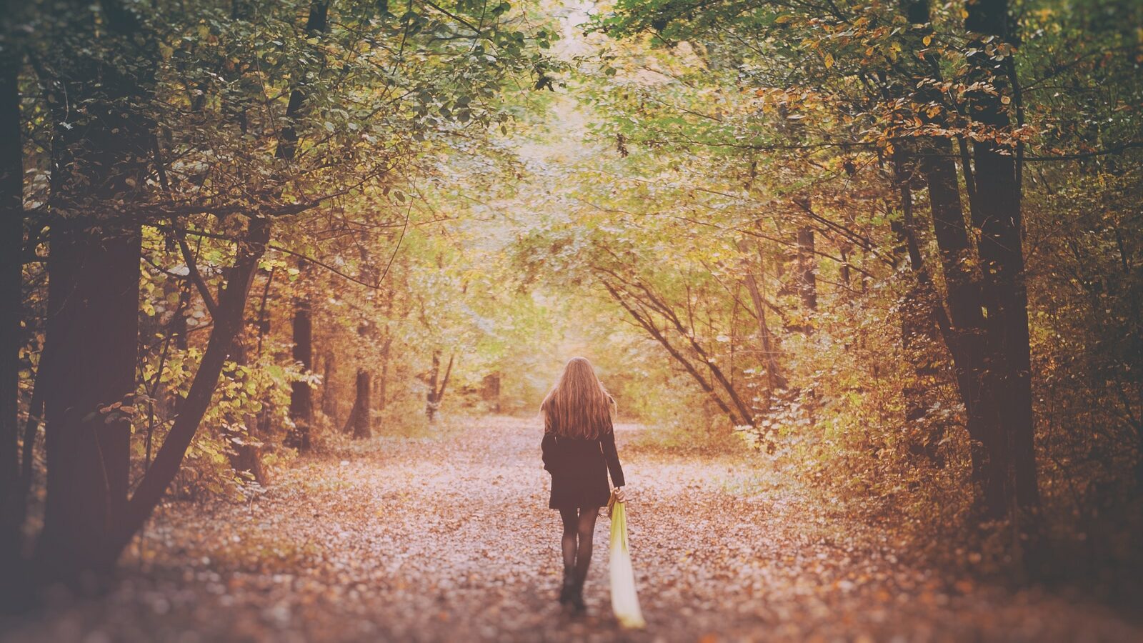 Sad Lonely Woman Walking Alone into the Woods