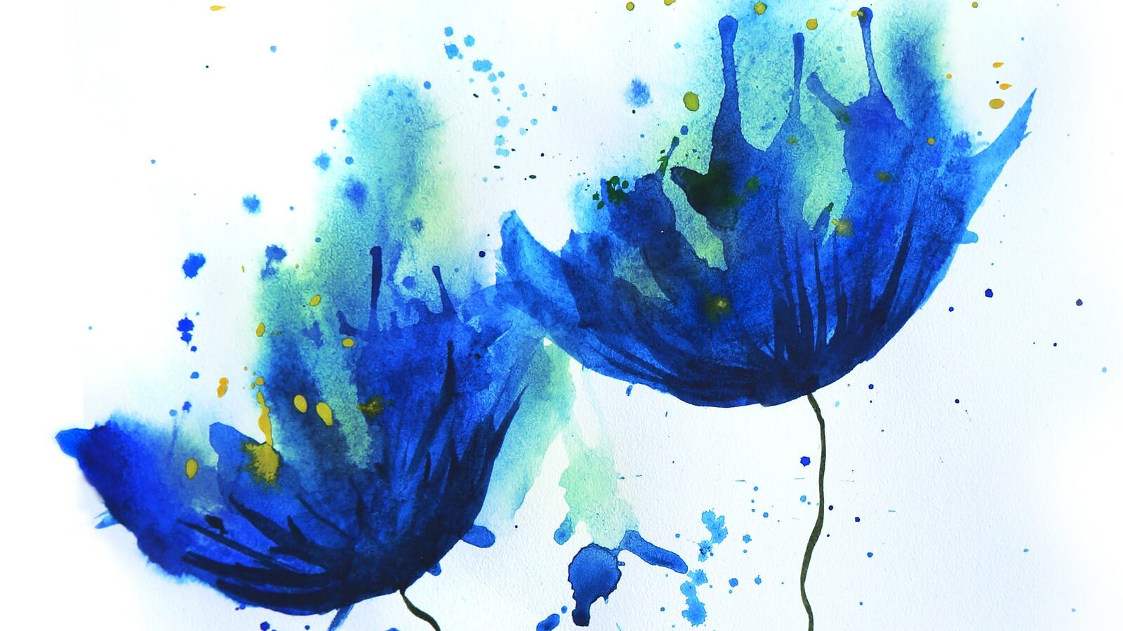 Watercolor of cornflower blue flowers. Summer mood easy sketch . Flowers picture