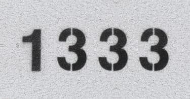 Número 1333 escrito na cor preta, em uma superfície branca.