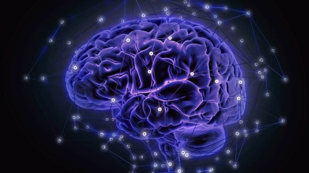 Imagem de um cérebro em azul de forma ilustrativa