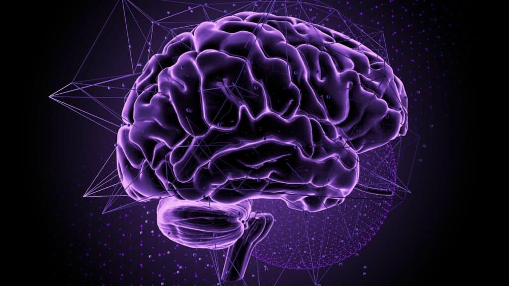 Imagem de um cérebro na cor roxa, de forma ilustrativa