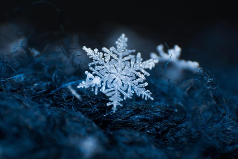 Floco de neve visto de perto em um gramado.