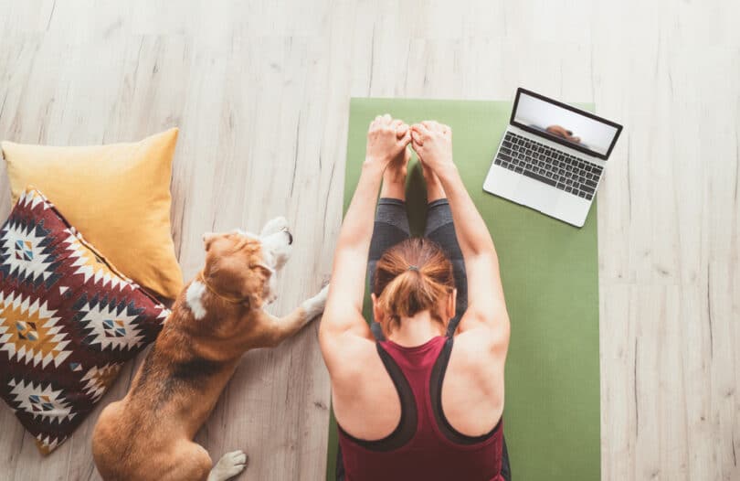 Vista superior de uma mulher fazendo Yoga em casa ao lado de seu cachorro e com o auxílio de um computador