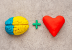 Cérebro e coração feitos em 3d