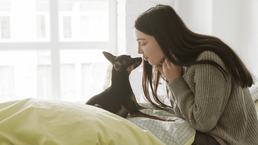 Cachorro pequeno deitado em cima da cama enquanto uma mulher quase encosta o nariz no focinho dele