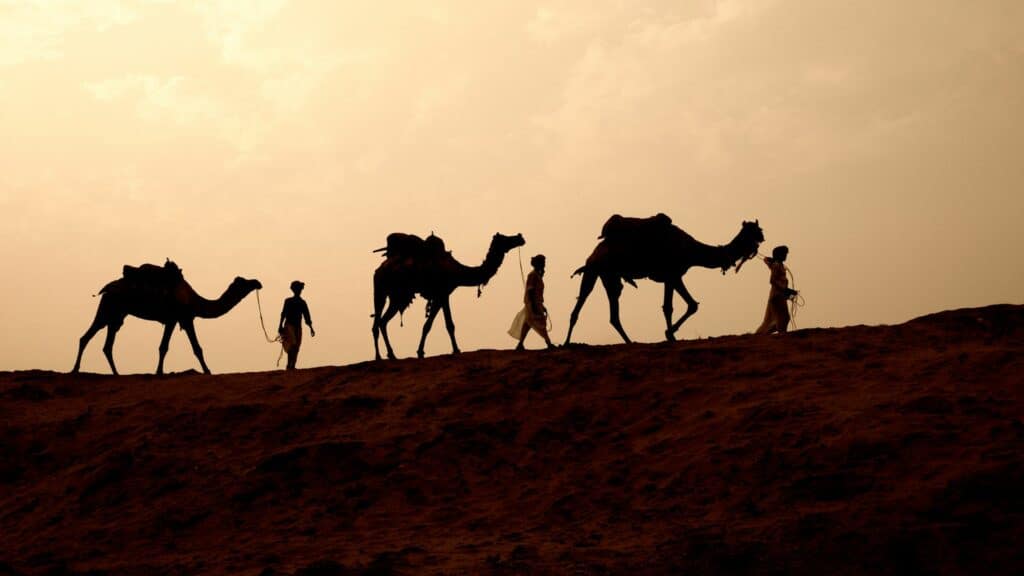 Imagem dos três reis magos caminhando no deserto com camelos