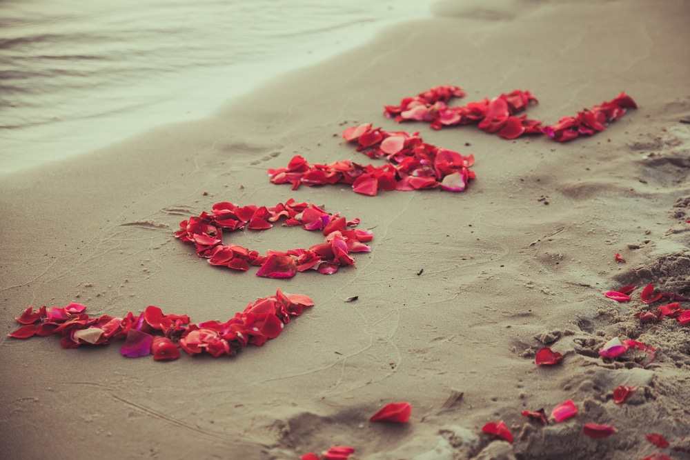 Palavra "love" escrita na areia da praia com pétalas de rosas.