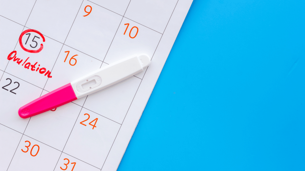 Dia de  período fértil marcado em um calendário com um teste de ovulação ao lado. 