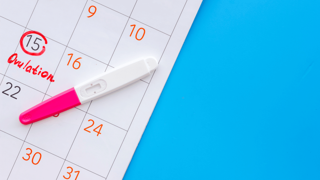 Dia de  período fértil marcado em um calendário com um teste de ovulação ao lado.