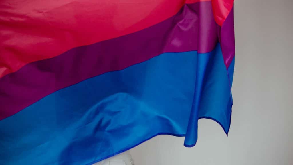 Imagem da bandeira bissexual
