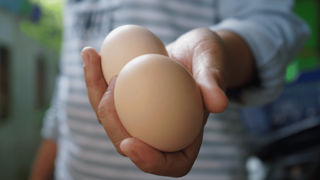Pessoa segurando dois ovos de galinha