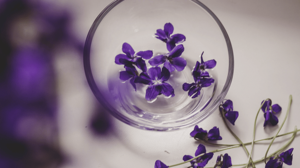 Violetas em copo de vidro