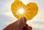Mão de uma pessoa segurando uma folha de outono em forma de coração, com céu azul e raio de sol ao fundo.