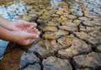Mãos em formato de concha em rio com água. O nível de água do rio é baixo.