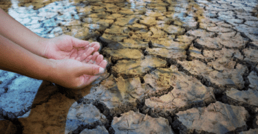 Mãos em formato de concha em rio com água. O nível de água do rio é baixo.