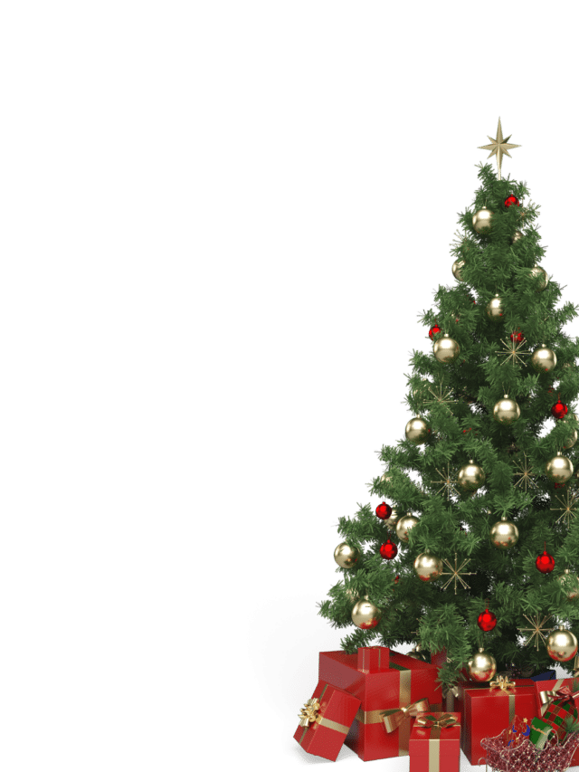 Como aproveitar o Natal sozinho?