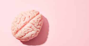 Cérebro em fundo rosa.